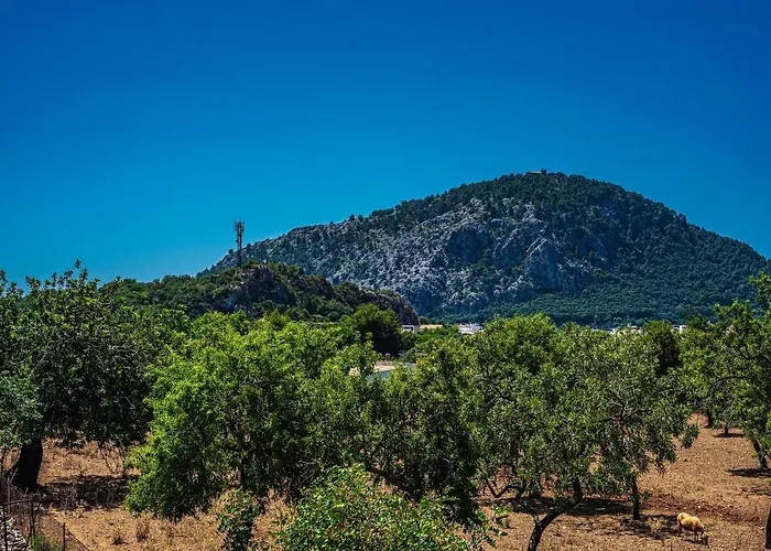 Xim - Angels Польенса