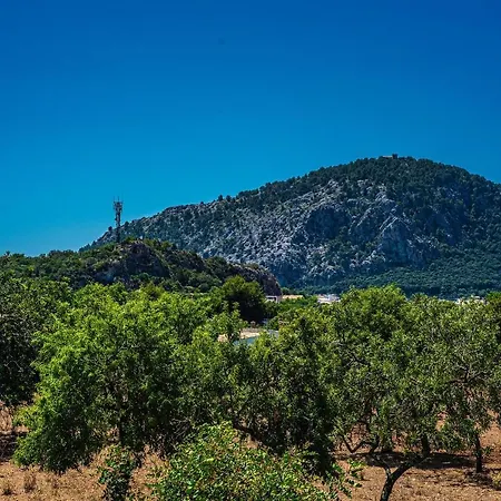 Xim - Angels ポレンサ