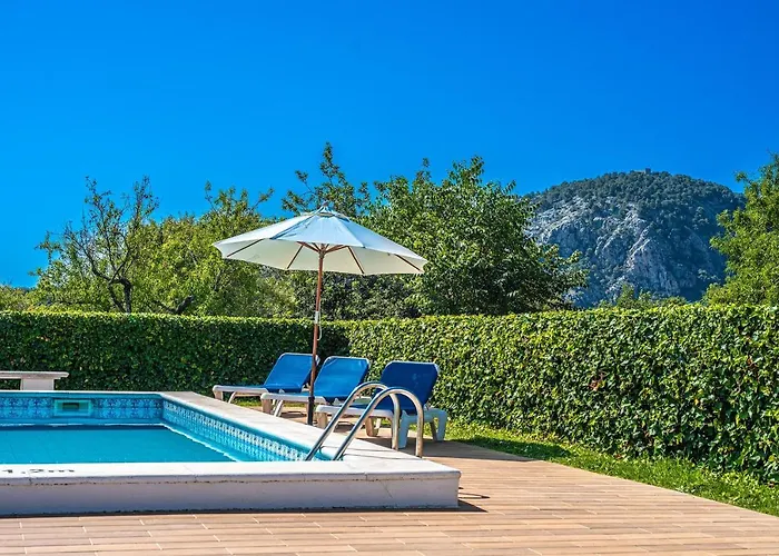 Willa Xim - Angels *